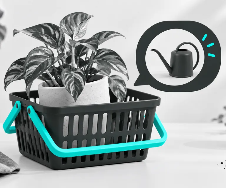 Cesta de compra com produto complementar sugerido em uma conversa.