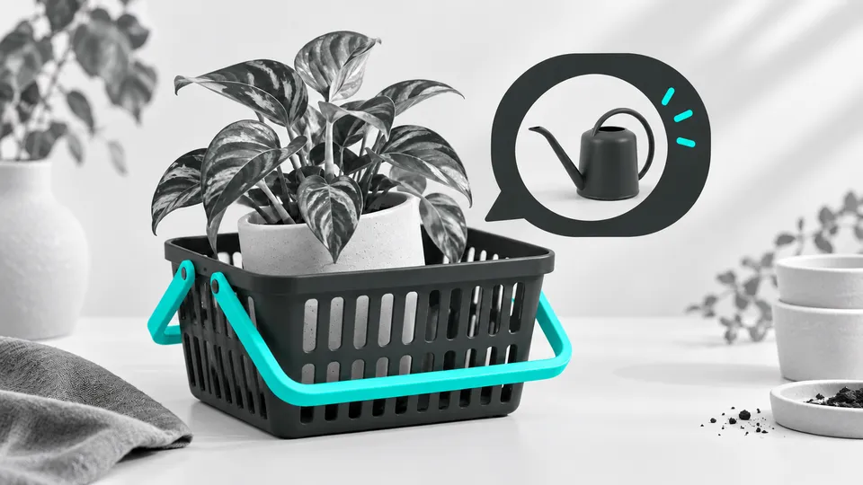Cesta de compra com produto complementar sugerido em uma conversa.