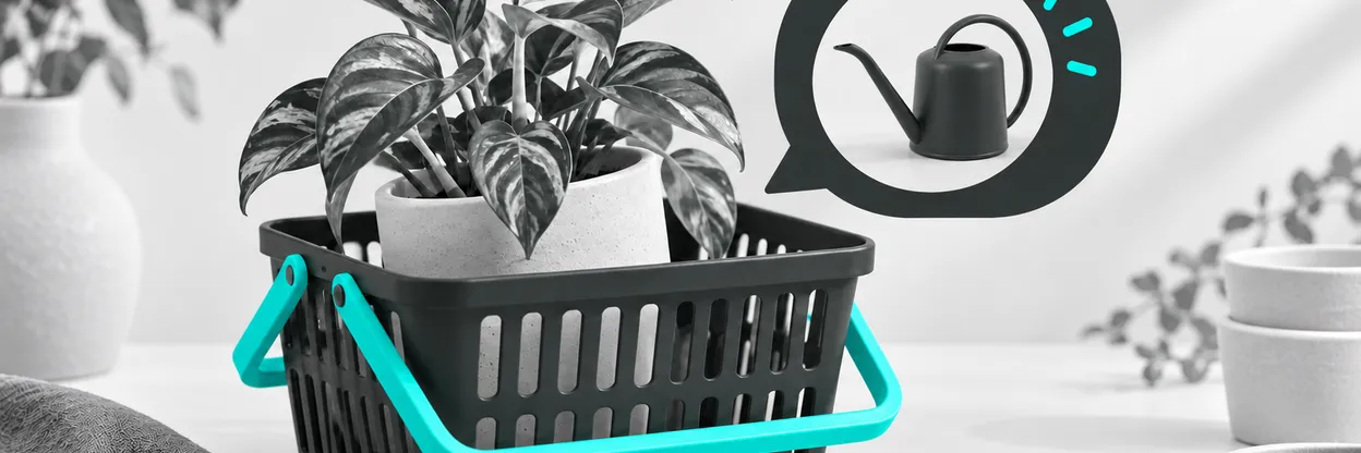Cesta de compra com produto complementar sugerido em uma conversa.